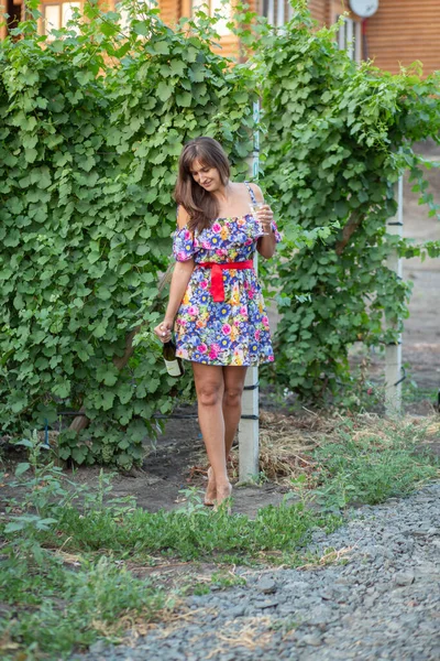 Menina Vinha Por Sol Vestido Floral Cesta Nas Mãos — Fotografia de Stock