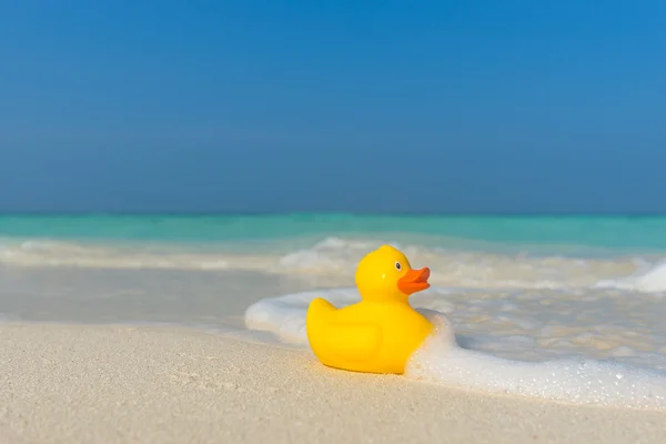 Żółte kaczki na tropikalnej plaży. Koncepcja podróże i wakacje — Zdjęcie stockowe