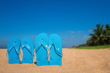 tropik sahilde floplar flip