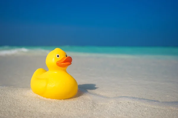 Sárga kacsa a trópusi tengerparton. Koncepció-utazás, nyaralás — Stock Fotó