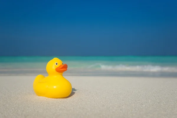 Yellow duck on the tropical beach. Concept travel and vacation — Stock Photo, Image