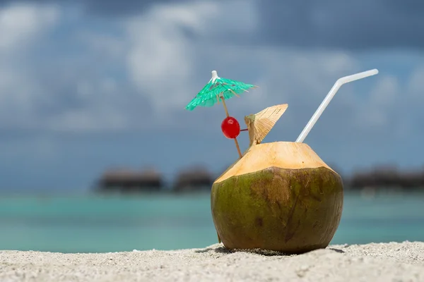 Coconut with drinking straw on beach at the sea — Stock Photo, Image