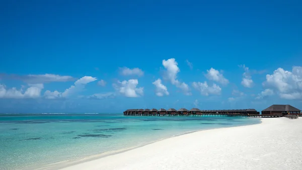 Perfect tropical island paradise beach Maldives — Stock Photo, Image