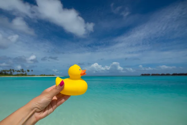 Pato amarillo en la playa tropical. Concepto viajes y vacaciones —  Fotos de Stock