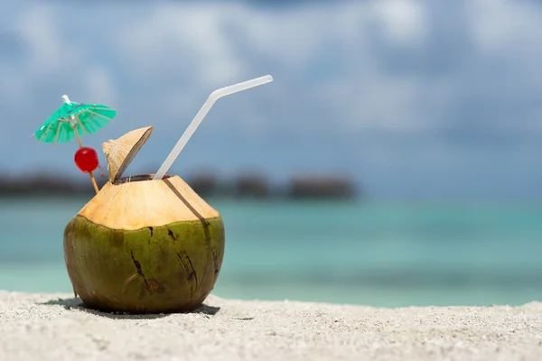 Coconut with drinking straw on beach at the sea — Stock Photo, Image