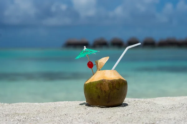 Kokos s pitím slámy na pláži u moře — Stock fotografie