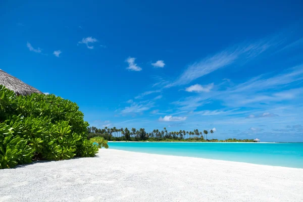 Playa perfecta isla tropical paraíso — Foto de Stock