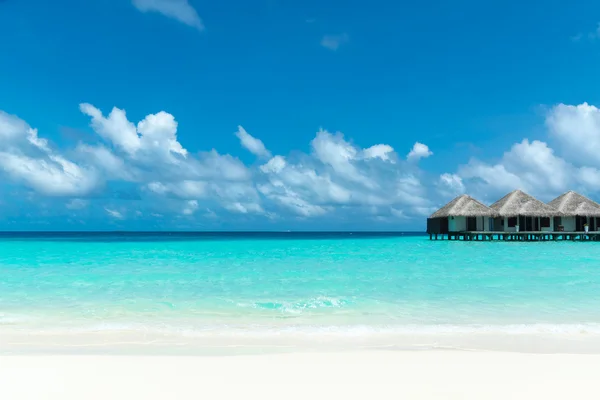 Perfect tropical island paradise beach Maldives — Stock Photo, Image