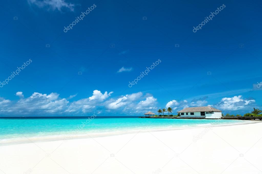 Perfect tropical island paradise beach Maldives