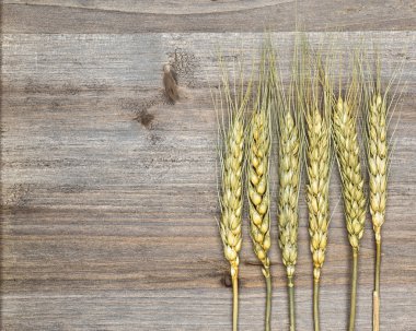 buğday ahşap zemin üzerinde kapat