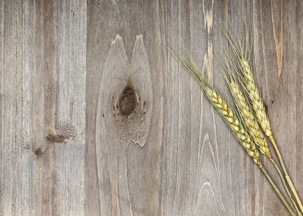Wheat on wooden background close up — Stock Photo, Image