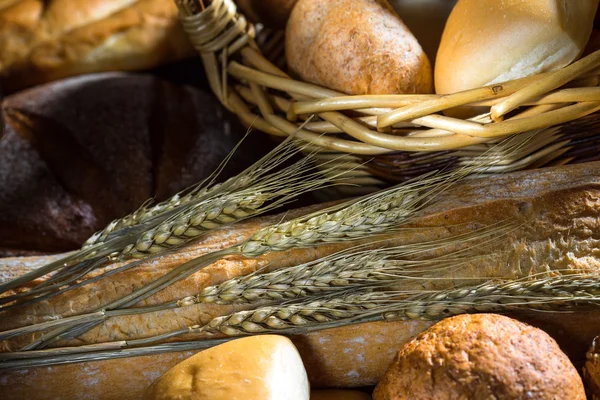 Assortment of baked bread — Stock Photo, Image