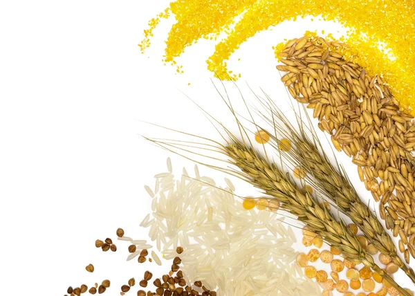 Granen - maïs, tarwe, boekweit, gierst, rogge, rijst en erwten — Stockfoto
