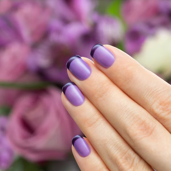 Hermosa manicura, el pulido es un color violeta . — Foto de Stock