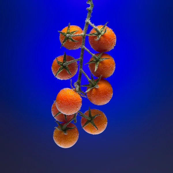 Red tomato into water — Stock Photo, Image