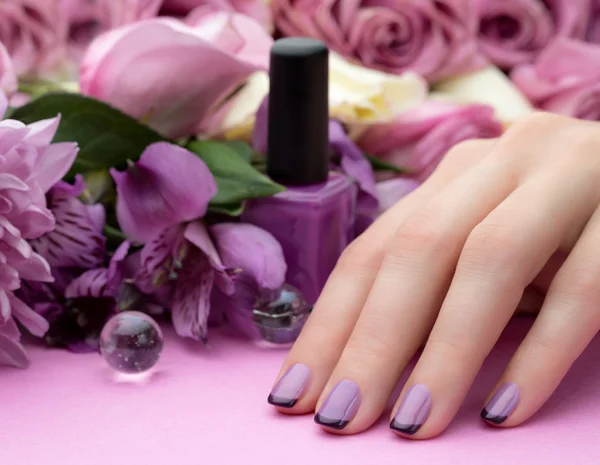 Hermosa manicura, el pulido es un color violeta. Fondo de flores . —  Fotos de Stock