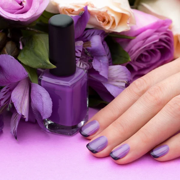 Hermosa manicura, el pulido es un color violeta. Fondo de flores . — Foto de Stock