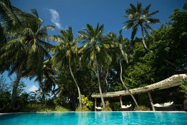 Tropická pláž a bazén — Stock fotografie