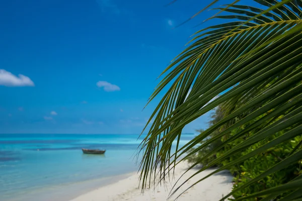 Perfect tropical island paradise beach — Stock Photo, Image