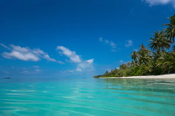 Perfekter Tropical Island Paradise Beach — Stockfoto