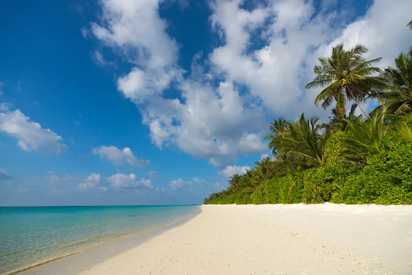 Île tropicale parfaite Paradise Beach — Photo