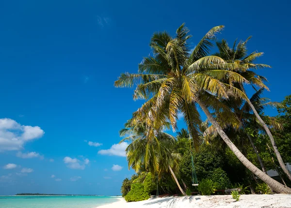 Perfect tropical island paradise beach — Stock Photo, Image