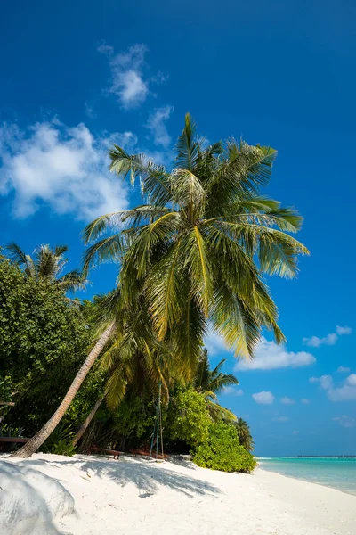 Playa perfecta isla tropical paraíso — Foto de Stock