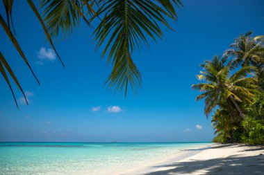 Mükemmel tropik ada cennet plaj ve eski bir tekne