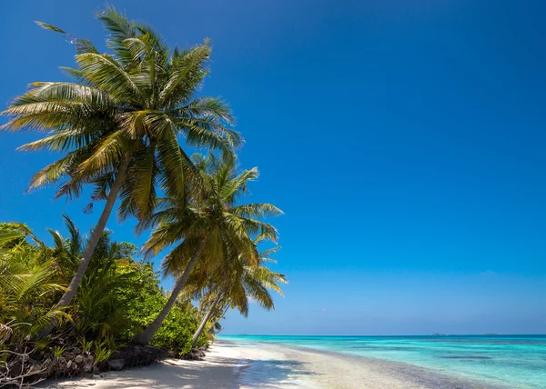 Mükemmel tropik ada cennet plaj ve eski bir tekne