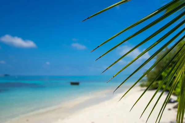 Playa perfecta isla tropical paraíso — Foto de Stock