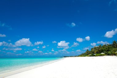 Güzel sahil ve tropikal deniz