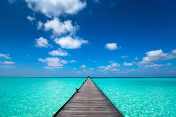 蓝色的大海和天空背景木墩 — 图库照片