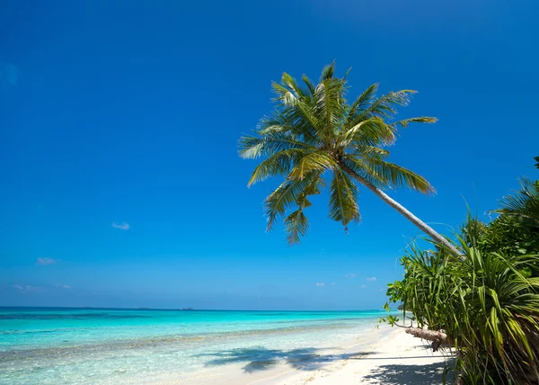 Beautiful beach and tropical sea — Stock Photo, Image