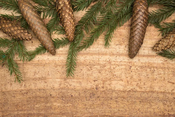 Tannenbaum auf Holz-Hintergrund — Stockfoto