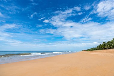 Güzel sahil ve tropikal deniz