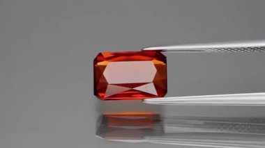 Gri arkaplanda doğal arpacık otu.