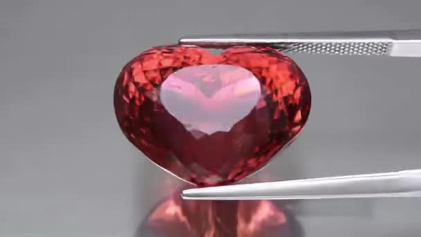 Tourmaline Rose Naturelle Rubellite Sur Fond Gris — Video