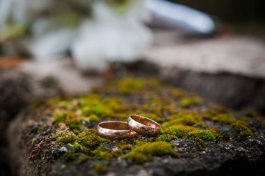 Beyaz çiçekli çiçek aranjmanı, bir kurdeleli düğün buketi ve bir taşın üzerinde duran iki altın yüzük. Düğün dekorasyonu, sanat eseri, çiçekçi.
