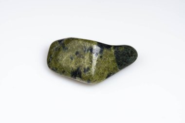 Beyaz arka planda doğal yeşil yılan.