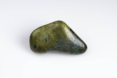 Beyaz arka planda doğal yeşil yılan.