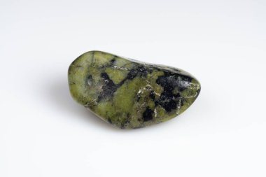 Beyaz arka planda doğal yeşil yılan.