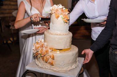 Yeni evliler düğün pastasını kesti. Düğündeki gelin ve damat düğün pastası kestiler.