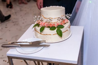 Yeni evliler düğün pastasını kesti. Düğündeki gelin ve damat düğün pastası kestiler.