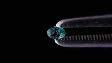 Siyah arka plandaki cımbızda doğal oval Alexandrite.