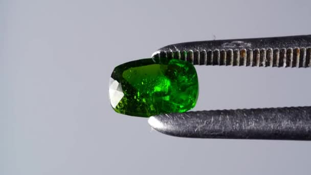 Natuurlijk Chroom Diopside Pincet Draaitafel — Stockvideo