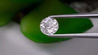 Doğal beyaz goshenit beyaz beril sehpanın üzerindeki cımbızda.