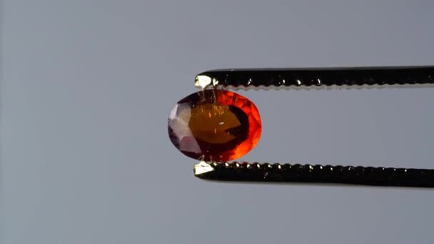 Pietra Naturale Hessonite Granato Marrone Nella Pinzetta Sul Tavolo Girevole — Video Stock