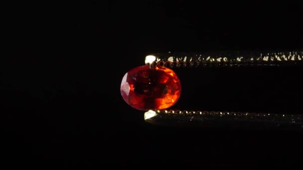 转盘上镊子里的天然黑森石褐色石榴石宝石 — 图库视频影像