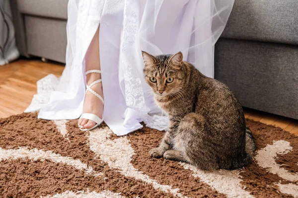 The cat sits on the floor near the woman's legs