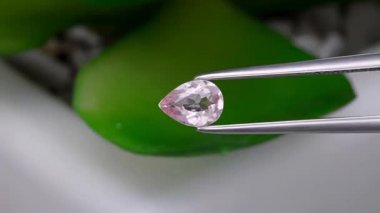 Sehpanın üzerinde cımbızla doğal morganit mücevheri